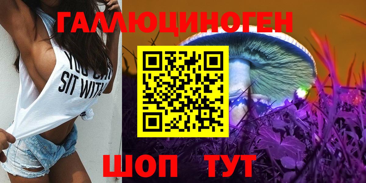Псилоцибиновые грибы Psilocybe Камышин