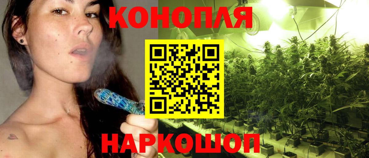Шишки марихуана сатива  Шишки марихуана ГИДРОПОН  Конопля Ganja  Вход с VPN  Бошки марихуана Amnesia  Камышин 
